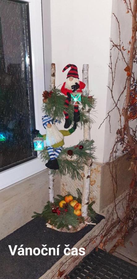 Apartman U Jakuba Dvůr Králové nad Labem エクステリア 写真