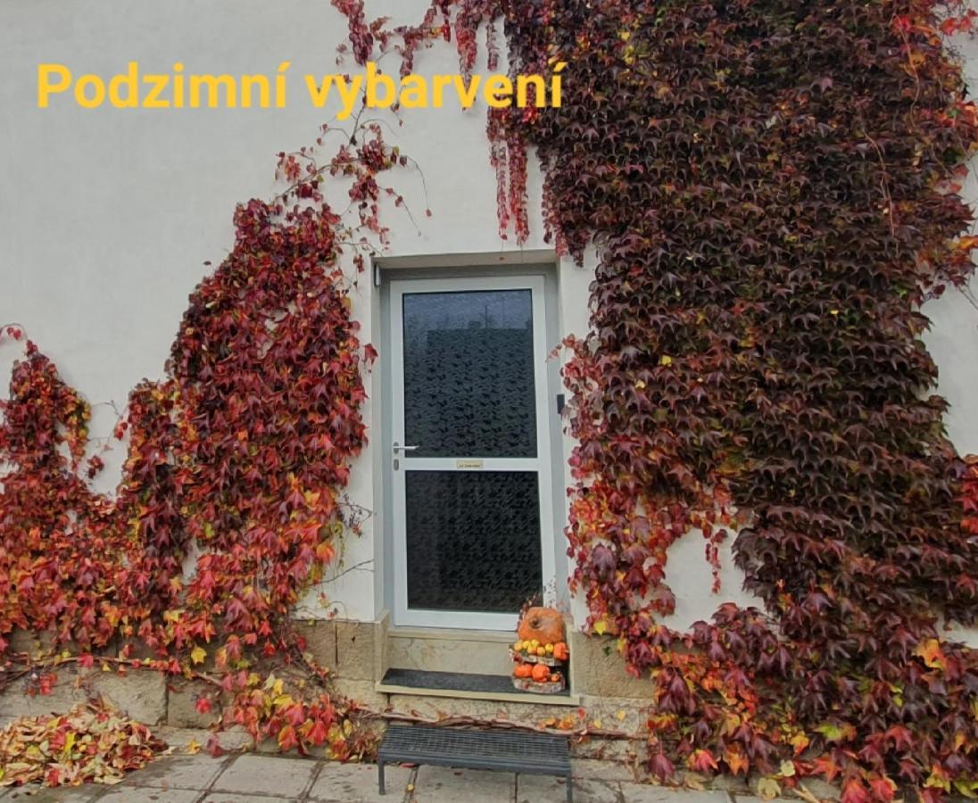Apartman U Jakuba Dvůr Králové nad Labem エクステリア 写真